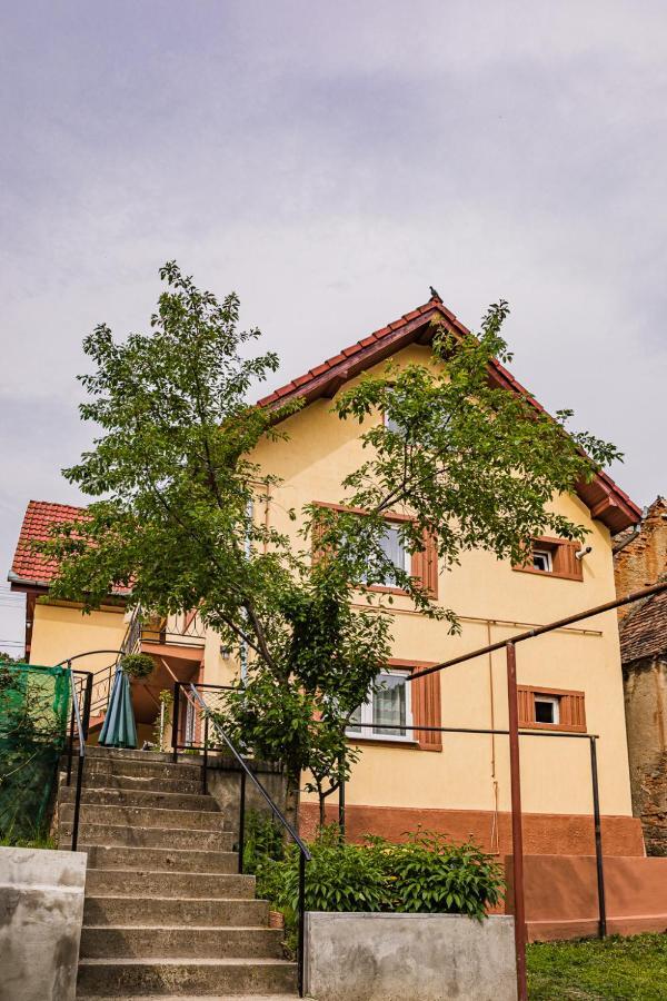 Gabi'S Home #1 Sighisoara Exterior photo